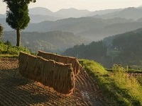 �匎�I�c�͂���