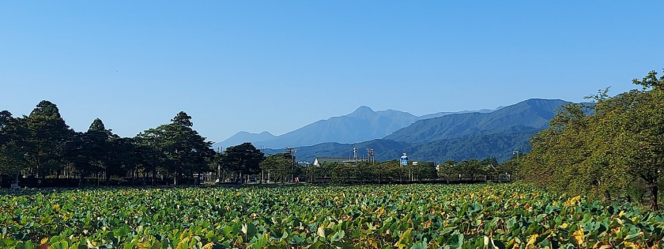 TopPage�w�b�_�[�摜�S-�����@