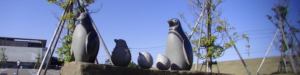 �����كy���M����